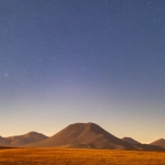 Золотой волк среди звезд в космическом пространстве