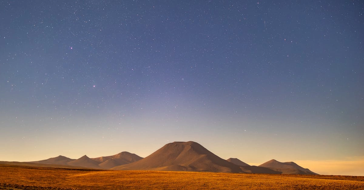 Золотой волк среди звезд в космическом пространстве